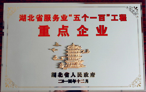 宜昌長機(jī)科技榮獲“省服務(wù)行業(yè)‘五個一百’工程重點企業(yè)”稱號