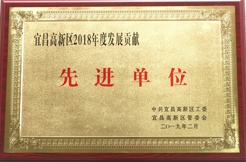 公司獲高新區(qū)“2018年度發(fā)展貢獻(xiàn)先進(jìn)單位”榮譽