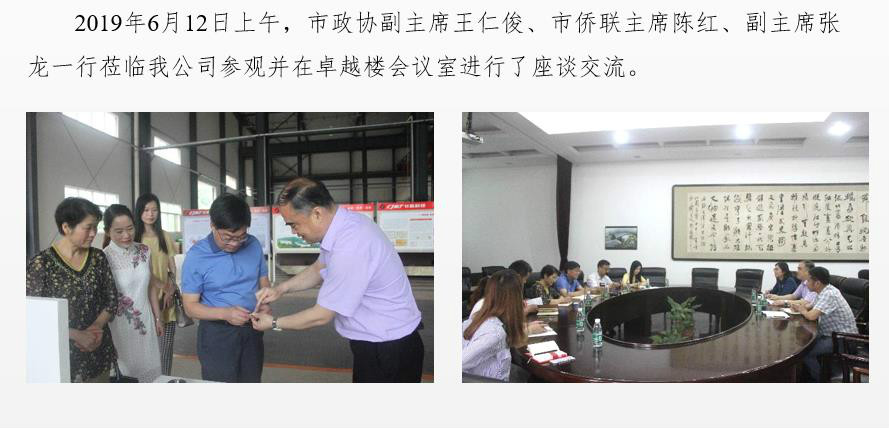 市政協(xié)副主席、僑聯(lián)主席一行蒞臨我公司調(diào)研
