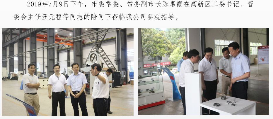 市委常委、常務副市長陳惠霞蒞臨我公司參觀指導